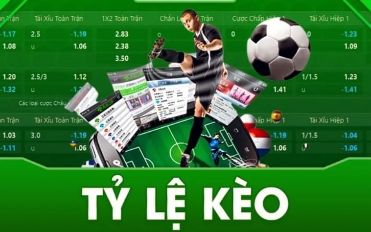 Top Các Trang Cá Cược Bóng Đá Uy Tín Và Cách Đánh Giá Chuẩn Xác