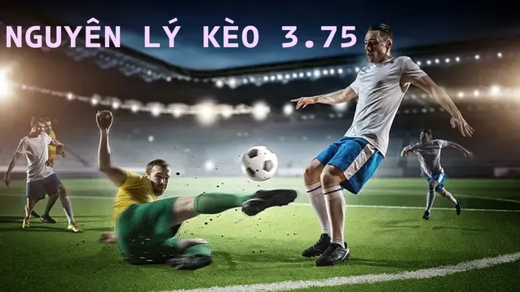 Cách Chinh Phục Kèo 3.75 Hiệu Quả Nhất Cho Người Đam Mê Bóng Đá