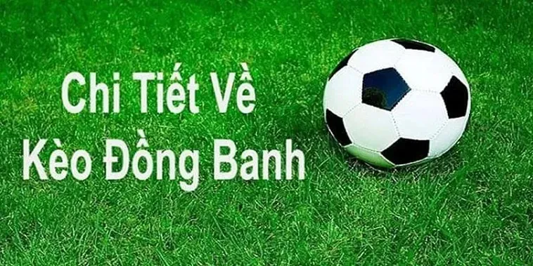 Tuyệt Chiêu Soi Kèo Đồng Banh Hiệu Quả Nhất Hiện Nay