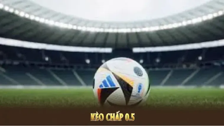 Tìm Hiểu Kèo Chấp 0.5 Và Cách Soi Kèo Hiệu Quả Cho Anh Em