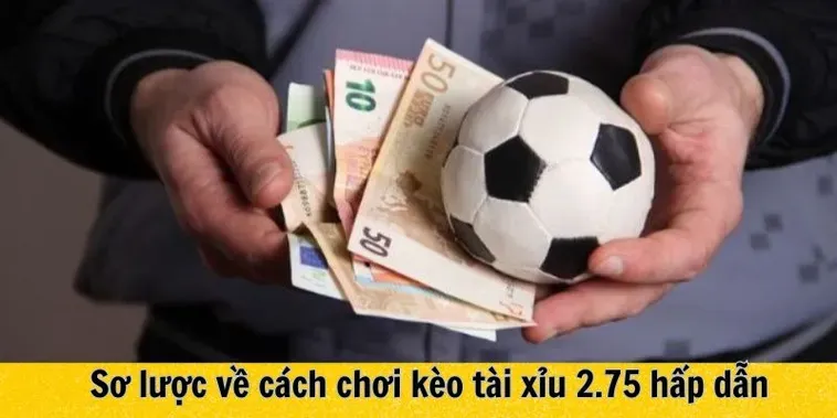 Tìm Hiểu Cách Chơi Kèo 2.75 Luôn Giành Được Chiến Thắng Đậm