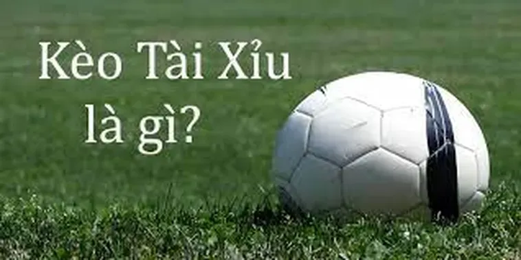 Cách Soi Kèo Tài Xỉu Bóng Đá Hiệu Quả Nhất Cho Người Mới