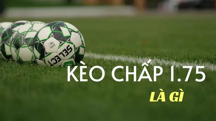 Cách Soi Kèo Chấp 1.75 Chính Xác Giúp Anh Em Thu Lợi Nhuận Khủng