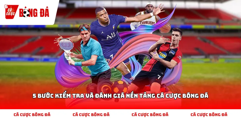 5 Bước Kiểm Tra Và Đánh Giá Nền Tảng Cá Cược Bóng Đá