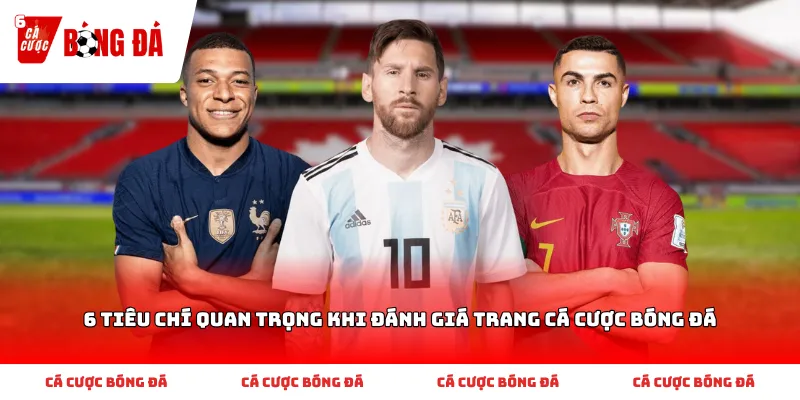 6 Tiêu Chí Quan Trọng Khi Đánh Giá Trang Cá Cược Bóng Đá
