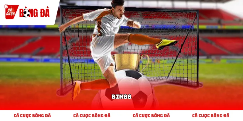 Bin88 và cách đọc tỷ lệ cho người mới