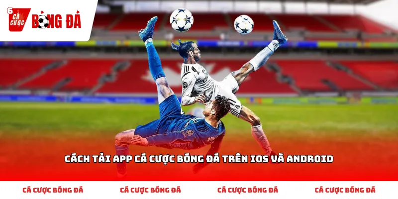Cách tải app cá cược bóng đá trên iOS và Android