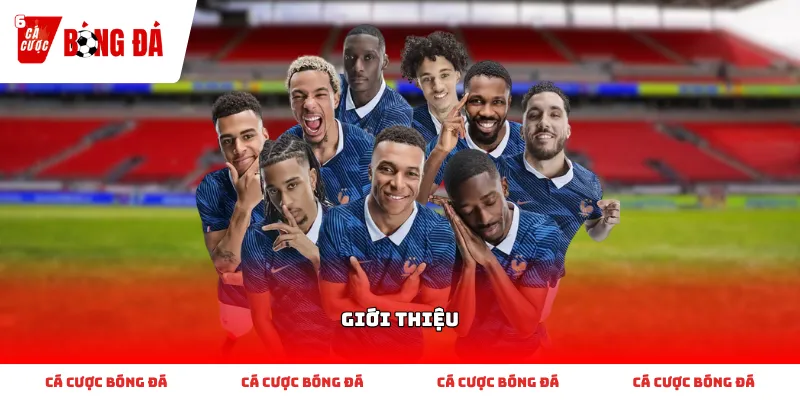 Tìm hiểu đôi nét về Giới thiệu và cách tham gia