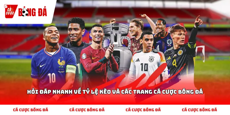 Hỏi Đáp Nhanh Về Tỷ Lệ Kèo Và Các Trang Cá Cược Bóng Đá