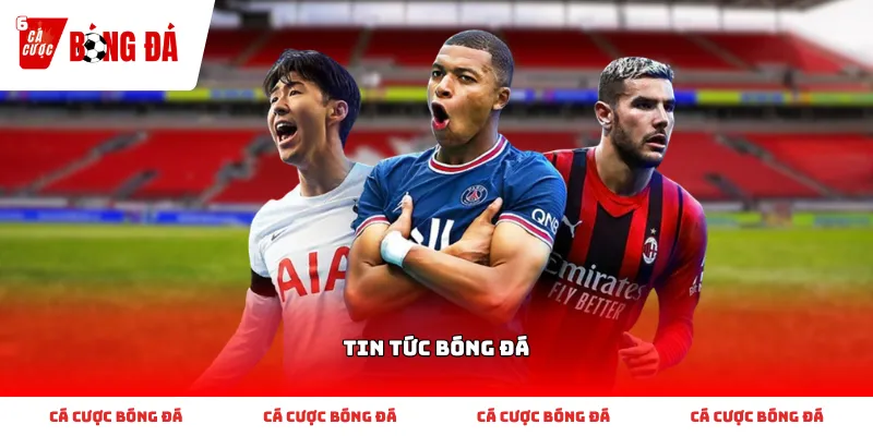 Cập nhật thông tin và tin tức bóng đá hàng ngày